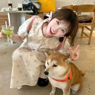 雄狮少年 海报